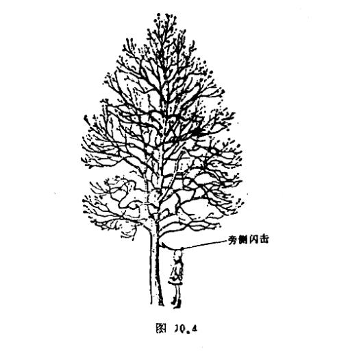 你见过被雷电击毙的人吗-旁侧闪击