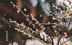 小雪时节寒气重-保暖御寒为首要-易造防雷
