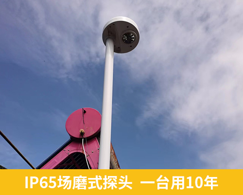 IP65场磨式探头  一台用10年