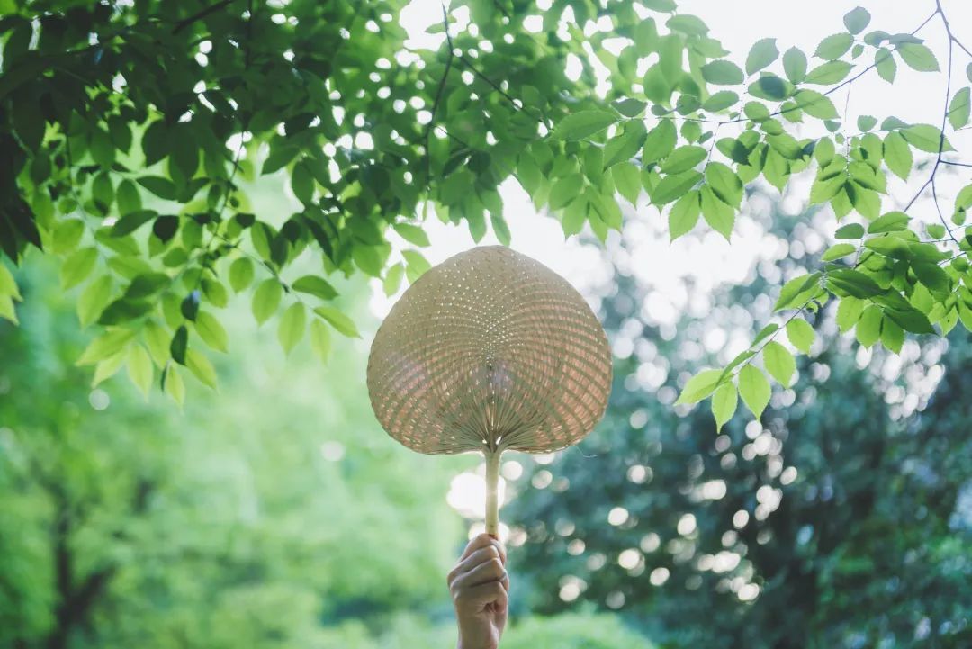 立夏丨春光万象中，夏日初长成--易造防雷