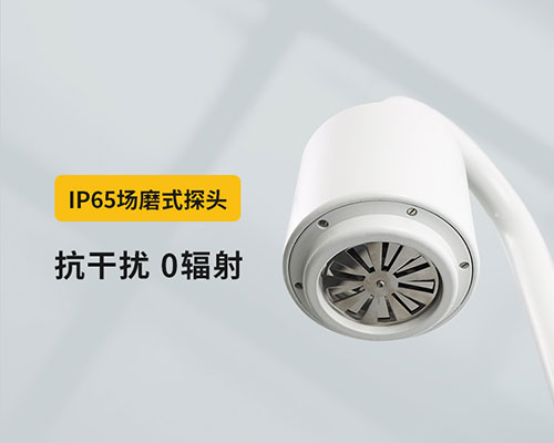 山东某油库选用WE3.0雷电预警系统-IP65探头